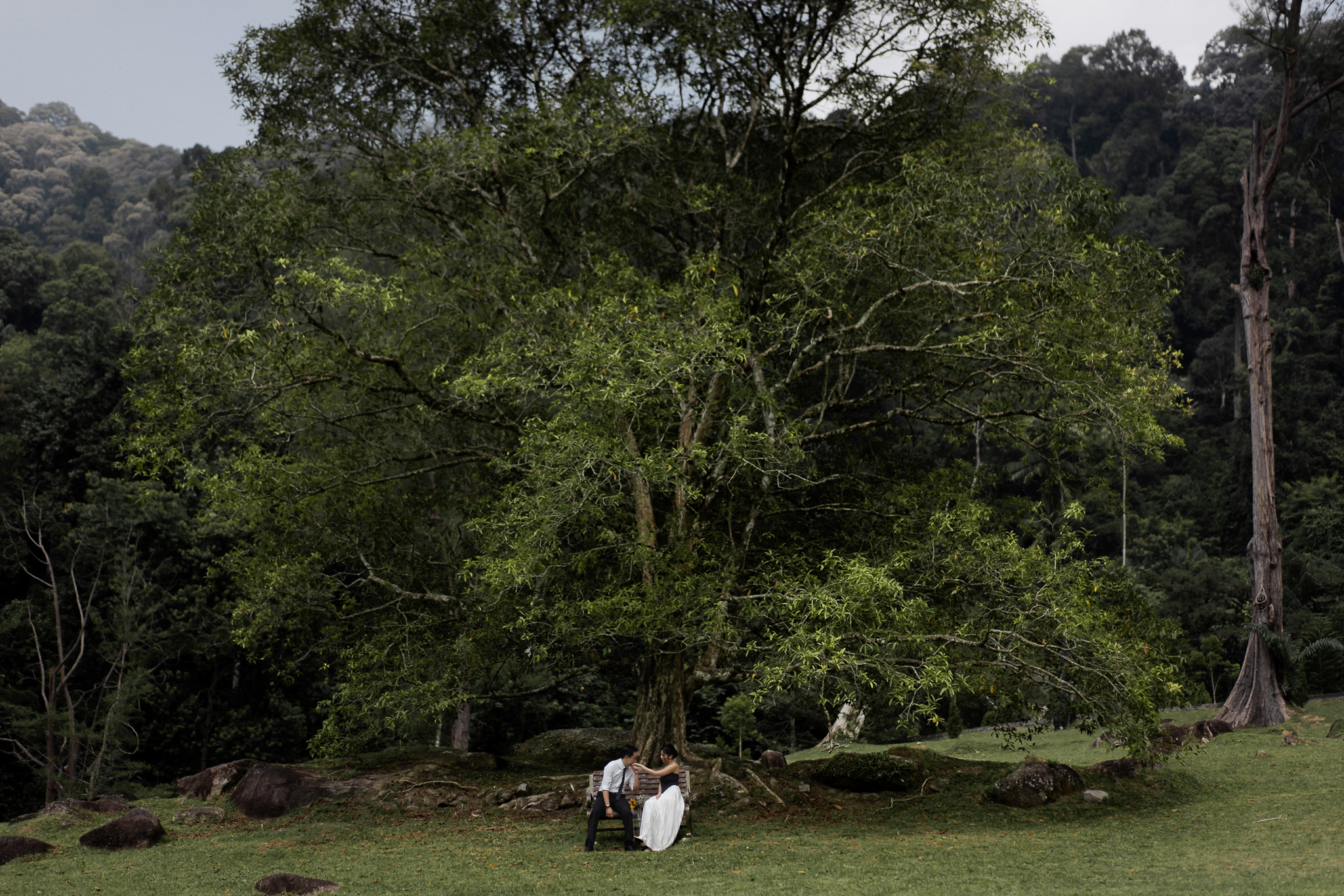 botanical-garden-mooody-runintoforest-prewed-penang20