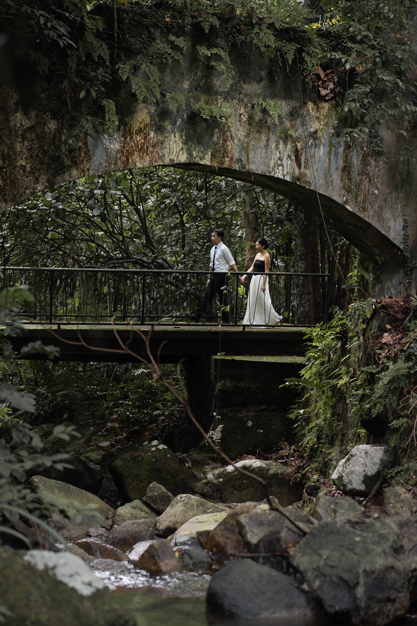 botanical-garden-mooody-runintoforest-prewed-penang9