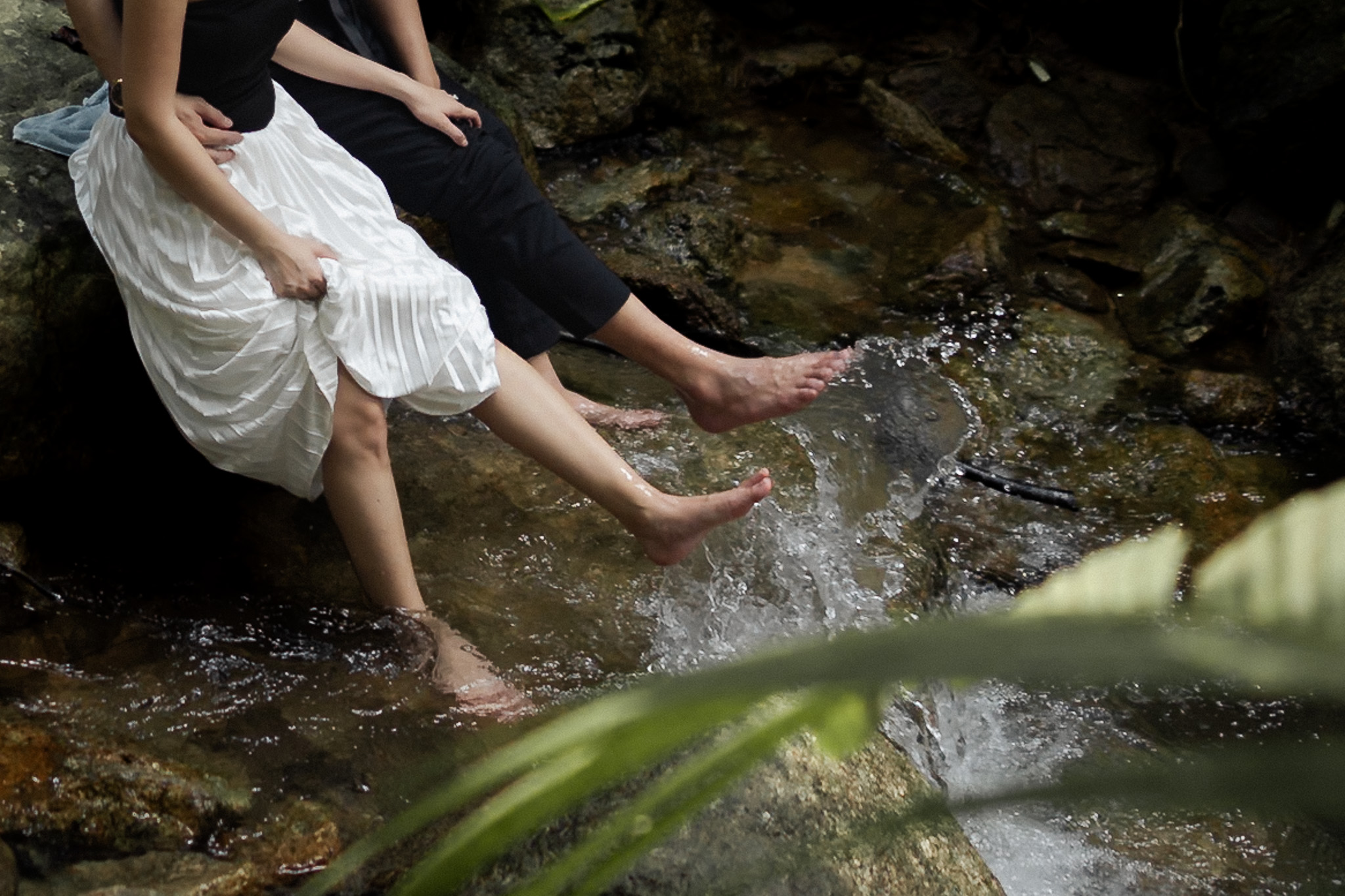 botanical-garden-mooody-runintoforest-prewed-penangex2