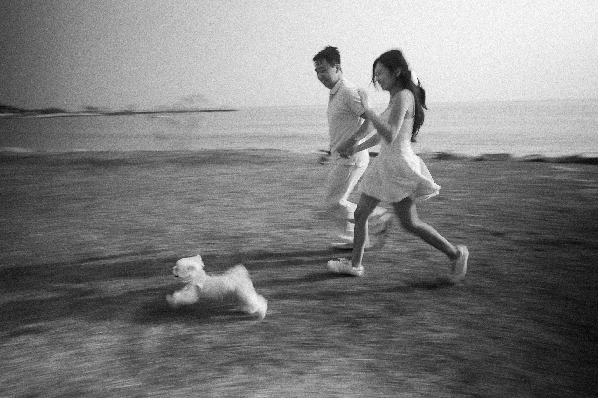 straitsquay-greenpark-pet-dog-prewed-penang-exx1