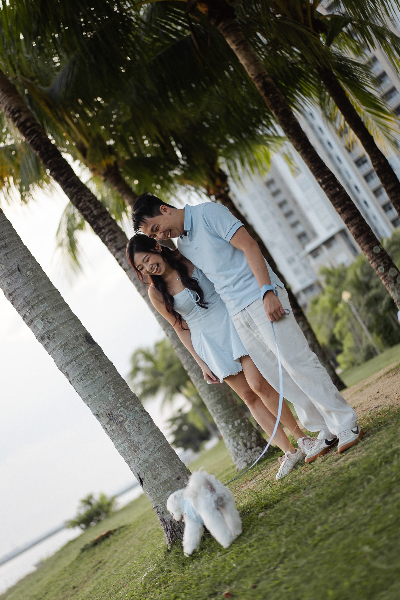 straitsquay-greenpark-pet-dog-prewed-penang1