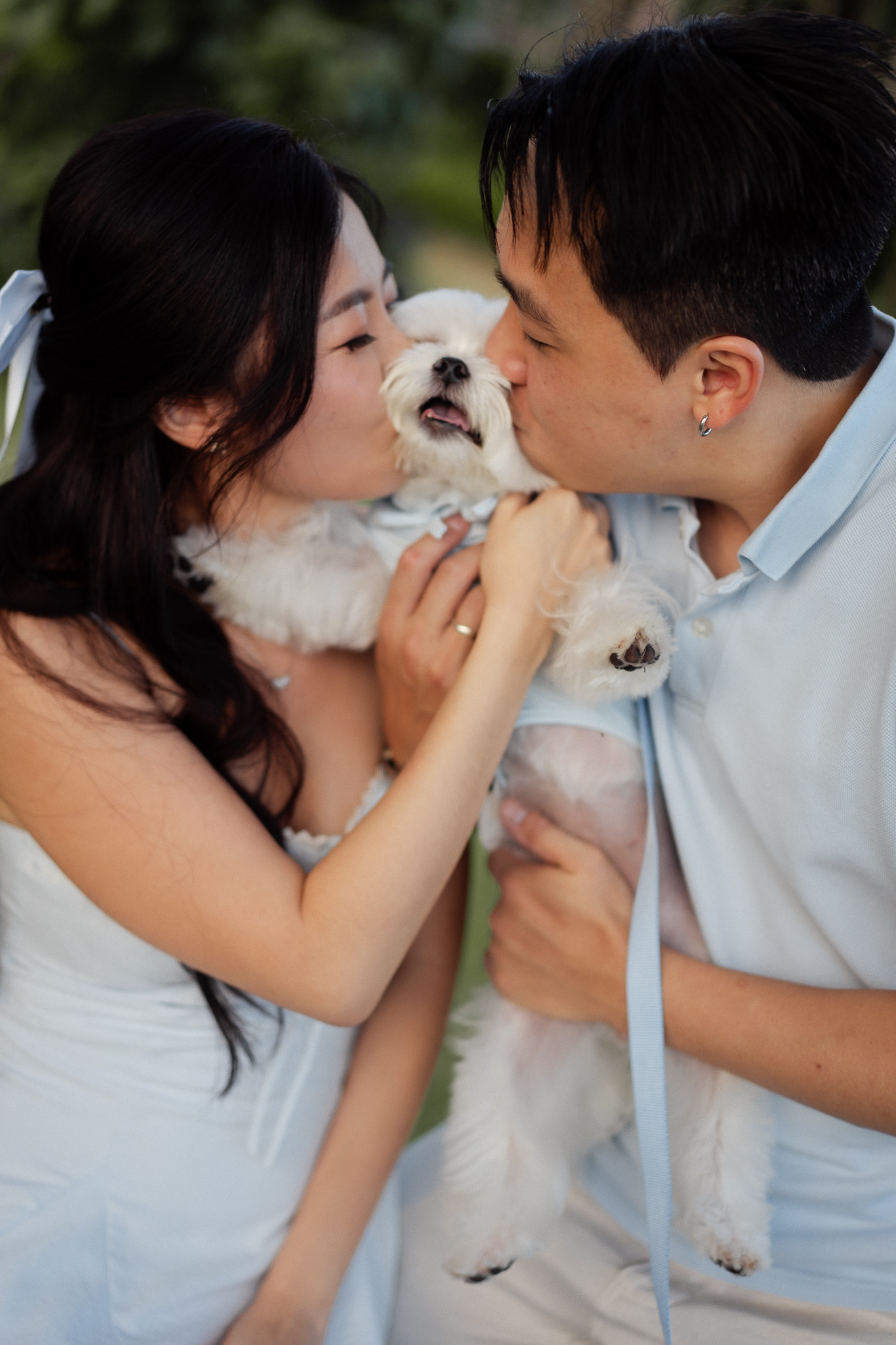 straitsquay-greenpark-pet-dog-prewed-penang6